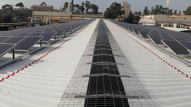 מתקן סולארי על גג רפת בזיקים (צילום: באדיבות סולארפאוור בע"מ) (צילום: באדיבות סולארפאוור בע