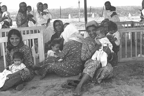 מחנה אוהלים בעין שמר לעולי תימן, 1950 (צילום: פריץ כהן, לע"מ) (צילום: פריץ כהן, לע
