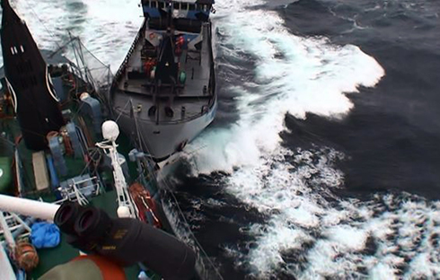 סירת ארגון המחאה (מימין) בהתנגשות עם הספינה היפנית (צילום: AP Photo/The Institute of Cetacean Research) (צילום: AP Photo/The Institute of Cetacean Research)