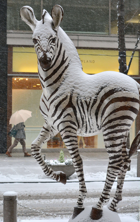 זה לבן על לבן. פסל זברה בשלג של טוקיו (צילום: AFP) (צילום: AFP)