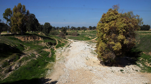 Besor Stream runs dry (Photo: Roee Idan)