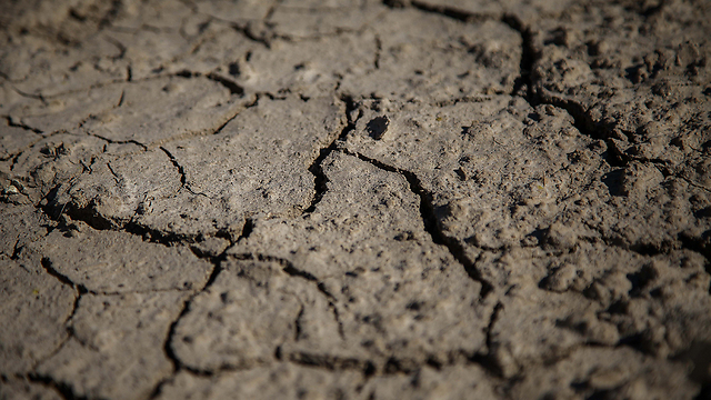 Dry earth in Emek Yezreel (Photo: Avishag Shaar-Yeshuv)