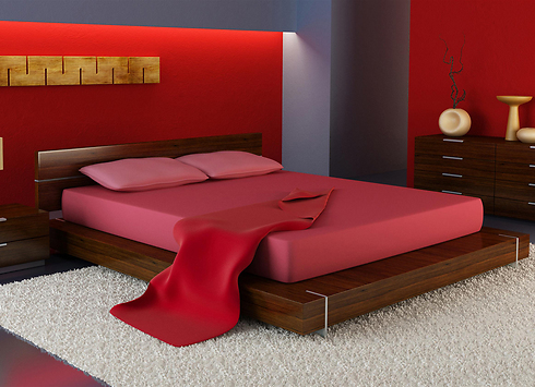 צבע נירוקריל אקסטרה אדום לחדר השינה של נירלט (צילום: אסף לב) (צילום: אסף לב)
