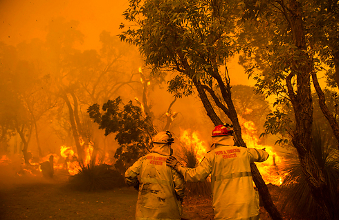 גל חום קיצוני ושריפות באוסטרליה, מוקדם יותר השנה (צילום: רויטרס) (צילום: רויטרס)