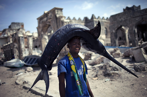 דייג סומלי נושא דג חרב מהנמל לשוק במוגדישו, בירת סומליה (צילום: AFP) (צילום: AFP)