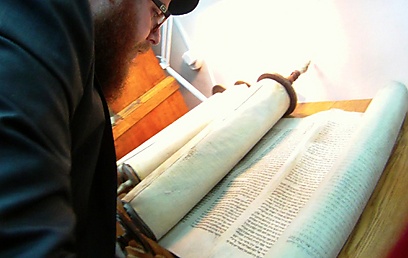 Rabbi says he has no doubt Torah scrolls belong to Hungarian Jews (Photo: Will Tizard)