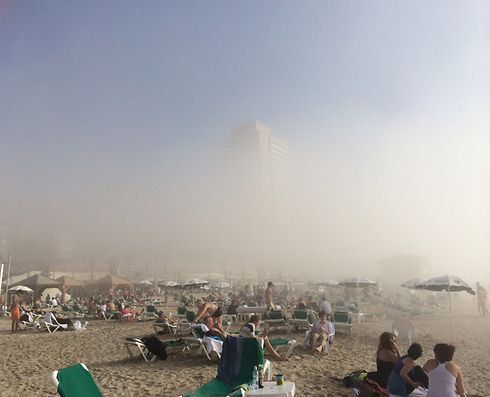 חוף תל אביב בערפל, היום (צילום: אפרת סער) (צילום: אפרת סער)