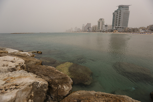 חוף הים בתל אביב (צילום: ירון ברנר) (צילום: ירון ברנר)