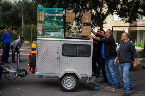 צילום: אבישג שאר ישוב צילום: אבישג שאר ישוב