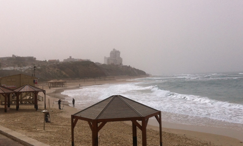 חוף גבעת עלייה ביפו (צילום: אריאל זיגלר) (צילום: אריאל זיגלר)
