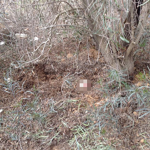 Site where body was discovered (Photo: Police Spokesman's Office) (Photo: Police Spokesman's Office)