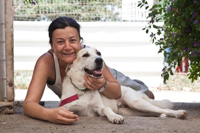 מוניקה ונובה באוגוסט 2013 בכלביית "תנו לחיות לחיות" (צילום: אלי לב איתן) ()
