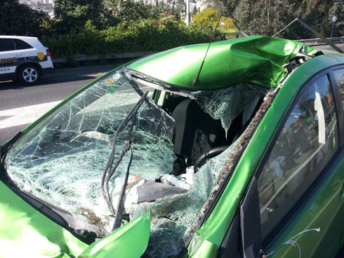 הנהג נפצע קשה בתאונה שבה הייתה מעורבת פרה (צילום: איחוד הצלה) (צילום: איחוד הצלה)