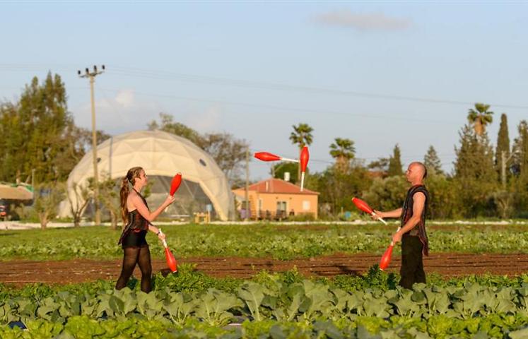 ליצנים וגידולים. הקרקס החקלאי (צילום: כריסטיאן קולומבוס)