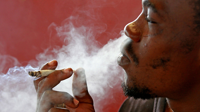 מעשנים בג'מייקה. המדיניות כלפי סמים אחרים לא תרוכך (צילום: MCT) (צילום: MCT)