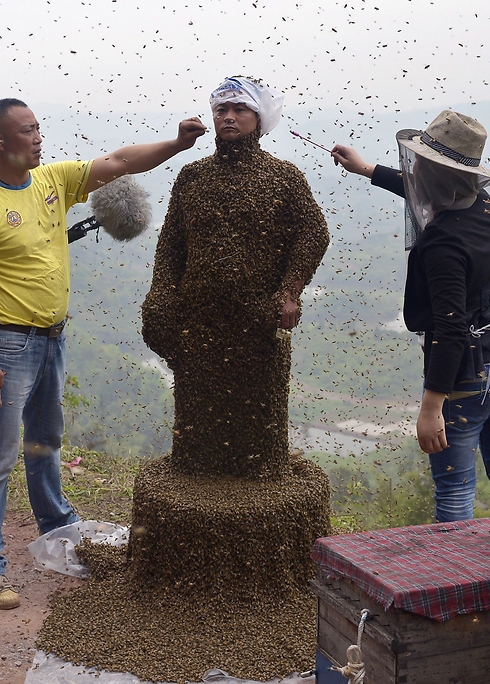 הקהל התבקש לשמור על מרחק של כ-20 מטרים בזמן שהדבורים הונחו על שי פינג (צילום: רויטרס) (צילום: רויטרס)