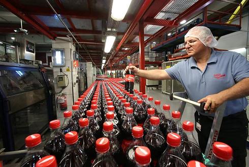 צילום: שאול גולן צילום: שאול גולן