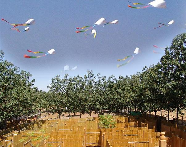 עפיפונים בפארק האקולוגי (צילום: אילת יוסף)
