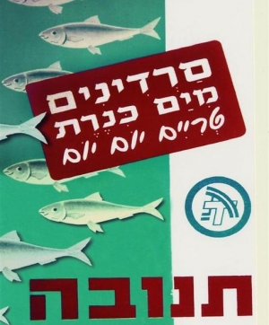 באדיבות ארכיון תנובה
