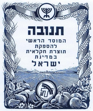 באדיבות ארכיון תנובה