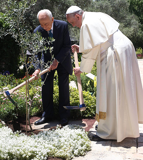 President Peres and Pope Francis plant an olive tree - a sign of peace (Photo: Amit Shabi)