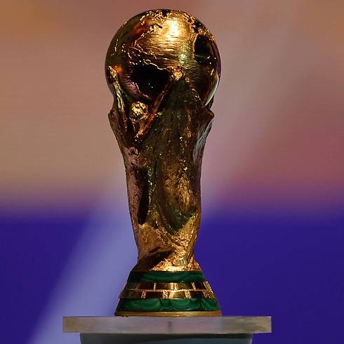 גביע העולם (צילום: AFP) (צילום: AFP)