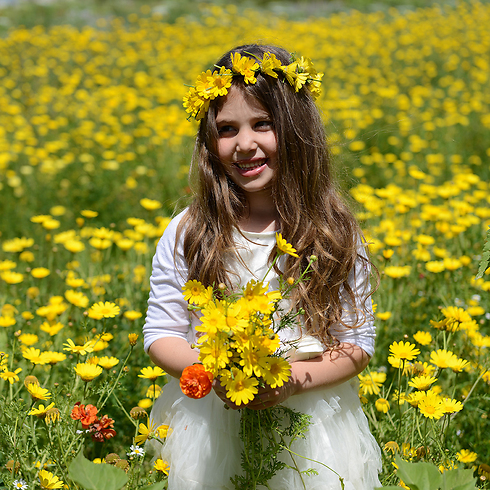 צילום: חיים יפים ברבבלט צילום: חיים יפים ברבבלט