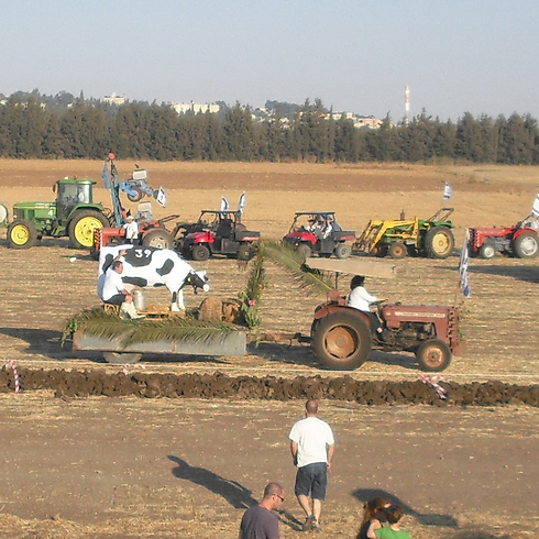 צילום: דודי לזר צילום: דודי לזר