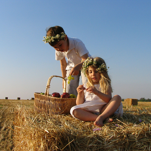 צילום: ליאור אבולעפיה צילום: ליאור אבולעפיה