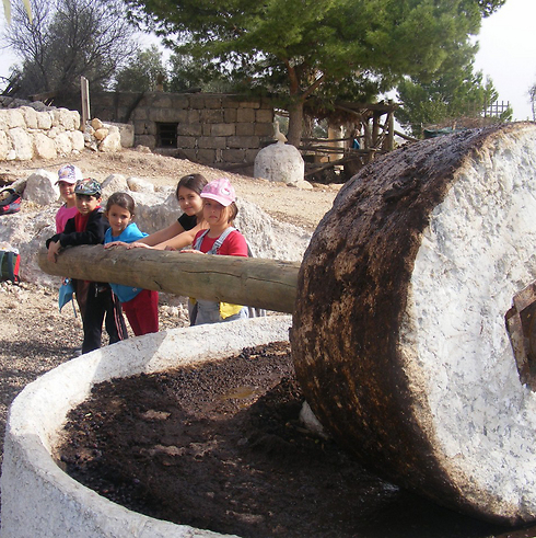 צילום: זוהר ברעם צילום: זוהר ברעם