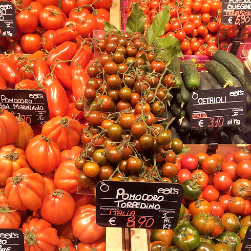 עגבניות ועגבניות שרי: המכירה באיטליה. הפיתוח: בישראל. משמאל למטה: עגבניות "ביף" (צילום: מירב קריסטל) (צילום: מירב קריסטל)