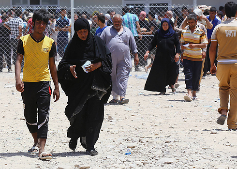 פליטים בורחים ממוסול (צילום: AP) (צילום: AP)