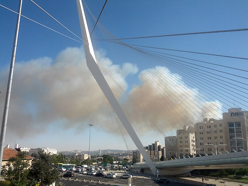 השריפה בירושלים, אחר הצהריים (צילום: שי מלמד) (צילום: שי מלמד)