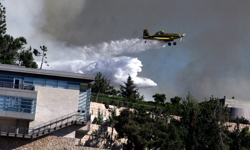 שישה מטוסים סייעו להשתלט על האש (צילום: עזרא לנדאו) (צילום: עזרא לנדאו)