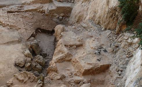 האתר שבו נמצאו ה"שאריות". האדם הקדמון נהנה מדיאטה מאוזנת? (צילום: רויטרס) (צילום: רויטרס)