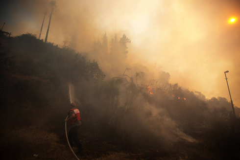 השרפה ליד עין כרם. תושבים חזרו לבתים ספוגי עשן (צילום: AFP) (צילום: AFP)