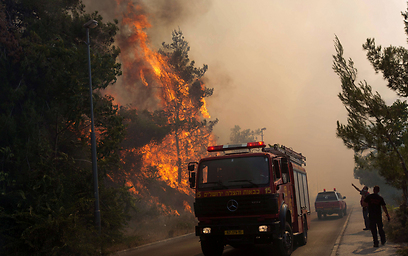 השריפה בעין כרם וקריית יובל בירושלים ברביעי (צילום: AFP) (צילום: AFP)