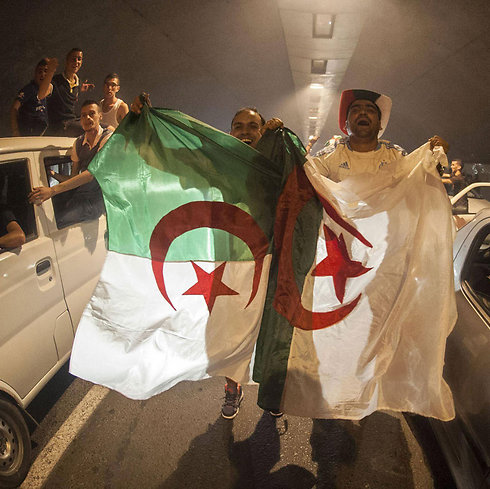 האוהדים האלג'יראים בטירוף (צילום: MCT) (צילום: MCT)