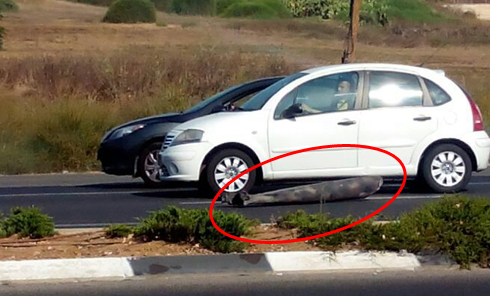 Part of rocket fired at Tel Aviv falls near Ness Ziona after being intercepted by Iron Dome (Photo: Dor Asayag)