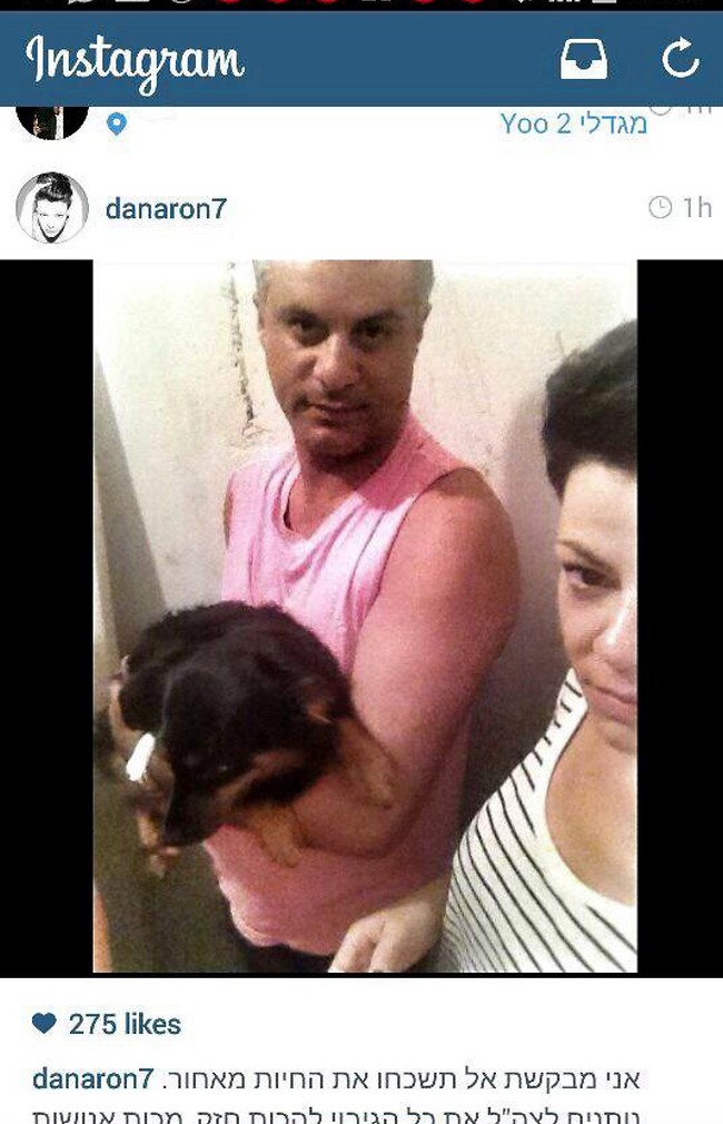 בחדר מדרגות. דנה רון ויריב נתי