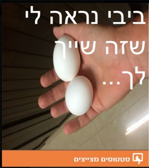 יום אחד בני היקר לביבי יהיו ביצים ! Untitled-7_wa_300X0