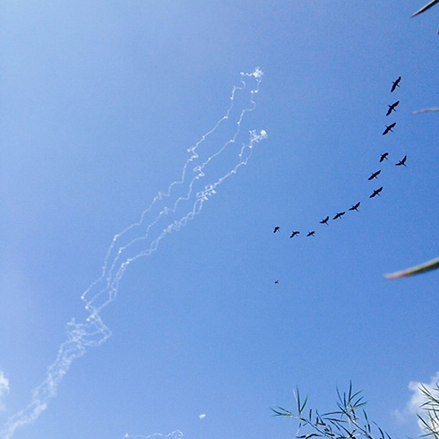 Interception of rocket over Ashkelon (Photo: Moshe Amar) (Photo: Moshe Amar)