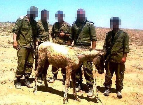 קבוצת החיילים שהצילה את הסייחה מעזה (צילום: באדיבות  "פגסוס - עמותה למען סוסים וחמורים בישראל")