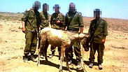 צילום: באדיבות  "פגסוס - עמותה למען סוסים וחמורים בישראל"