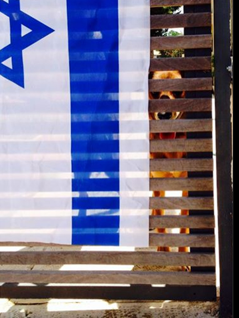 ג'ויה מאחורי דגל ישראל. מי הימר שהיא תשרוד? ()