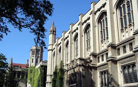 צילום: ThinkStock צילום: ThinkStock