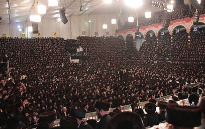The Belz Hasidic dynasty (Photo: Shlomi Cohen)