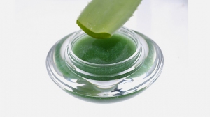 צילום: shutterstock