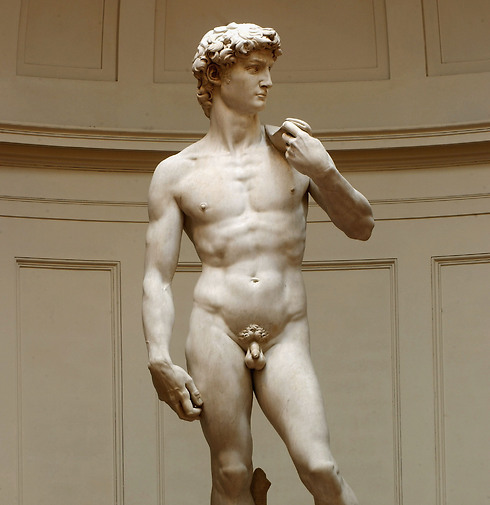 פסל "דוד" בפירנצה. מסיבה פרטית (צילום:GettyImages imagebank) (צילום:GettyImages imagebank)