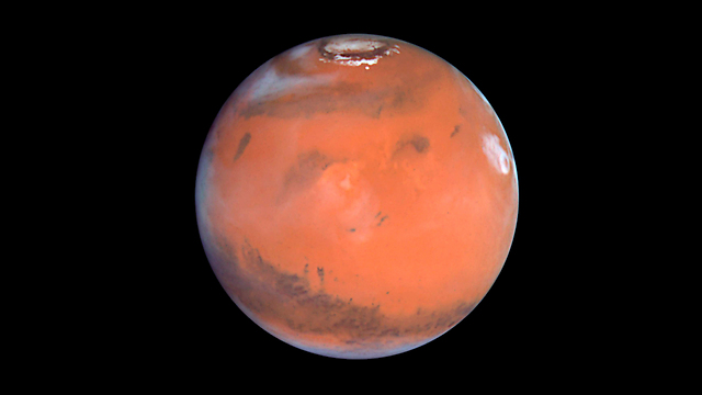 מארק וואטני אתה שם? צילום של מאדים (צילום: רויטרס) (צילום: רויטרס)
